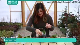 ساخت تراریوم برای حشرات