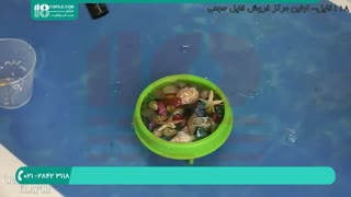 آسان ترین روش ساخت کره رزینی با تم دریایی