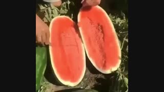 توی این هوای آتیشی فقط یه همچین آرزویی در سر می پرورانم!!!