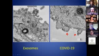 A Breakdown on Current Testing Procedures