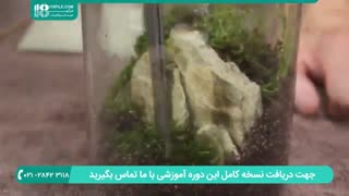 نحوه ساخت باغ شیشه ای در لامپ حبابی