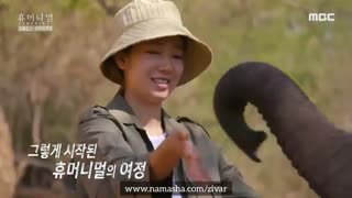 قسمتی از مستند Humanimal (انسان و حیوانات) با شرکت پارک شین هه