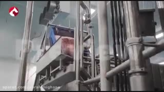 غذای خشک سگ و گربه پی پر پت