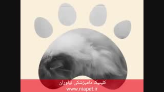 اصلاح و شست و شو