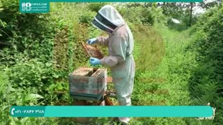 نکاتی برای تعویض شانه خارجی