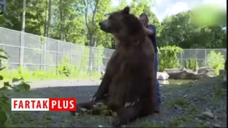 علاقه باورنکردنی ۲ خرس غول پیکر به یک خانواده