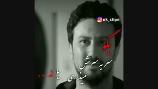 کلیپ سریال دلدادگان