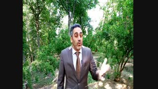 دوره آموزشی بهترین مشاور املاک باش  ( جلسه دوم    مشاور حرفه ای )