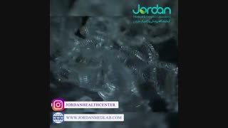 مراحل شکل گیری_ DNA_ و تکامل ژنتیکی جنین،