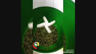 دستگاه جوانه ساز