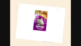 محصولات جدید پت شاپ نیاوران