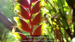 نور پیروز است"عصر آواریوس ،زمین جدید،پلیدین ها،فدراسیون کهکشانی،لایت ورکرها