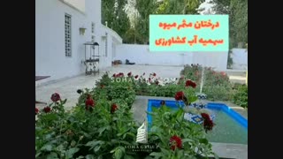6000 متر باغ ویلای قدیمی و آباد در مشکین دشت محمدشهر