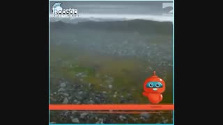 ربات جاسوس