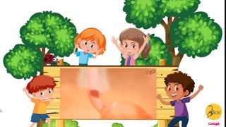 علوم پایه چهارم ابتدایی- فصل دهم - بدن ما