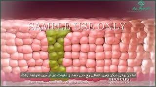 در مورد \HPV چه می دانید؟