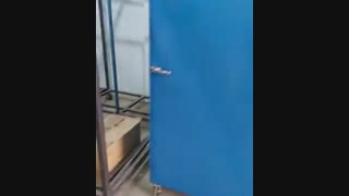 فروش انواع خشک کن میوه و سبزی