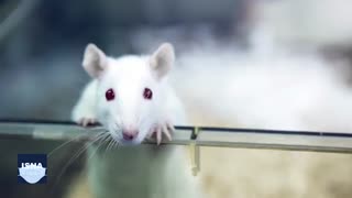 احتمال توقف روند پیری با هورمونی که در استخوان ساخته می‌شود