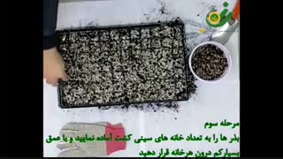 نحوه کاشت بذر در خانه