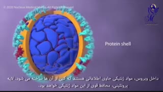 کرونا را جدی بگیریم