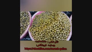 سوغات سرای گیلان