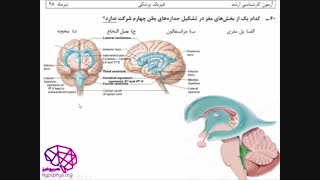 حل تشریحی سوالات آناتومی رشته فیزیک پزشکی سال 98