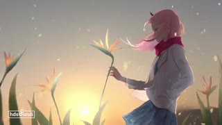 نایتکور عشق در سپیده دم