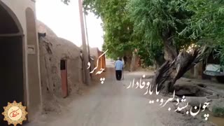 نماهنگ دیدی ای دل که غم عشق دگربار چه کرد - استاد شجریان