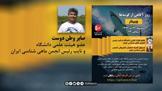 کوسهها ساکنان ۴۰۰ میلیون ساله جهان