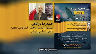 آشنایی با کوسههای خلیجفارس