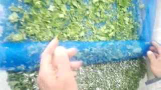 برگ دهی روی توری