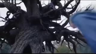 میکس از سریال افسانه ها