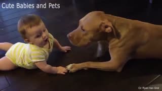 کلیپ خنده دار از بازی کودکان با سگ در چند دقیقه