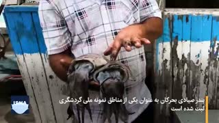 صیادی در اسکله‌های هندیجان