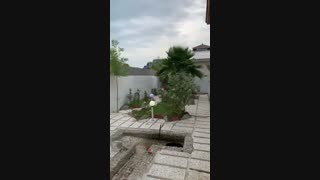 خرید ویلاجنگلی بهدشت