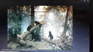 انتخاب مدل نقاشی