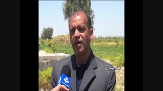 خبر پخش شده از طرح آبیاری دشت سیستان در شبکه استانی سیستان (هامون ) مورخ ۹۹/۰۴/۰۵