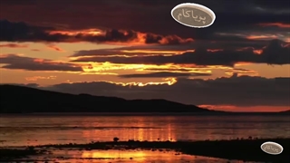 اسکاتلندی - موزیک