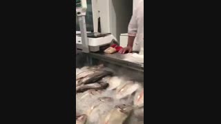 مه پاش برای ماهی --گوشت و ...