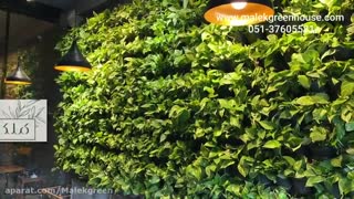 اجرای دیوار سبز - مدرن ترین دیوارهای سبز