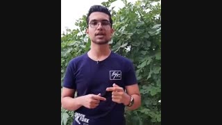 قانون پنج ثانیه  |  علی رضایی | مشاور کنکور