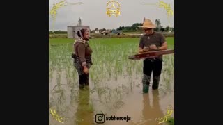 کنسرت نشاکاران در مازندران