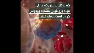 جزییات چگونگی ساخت واکسن