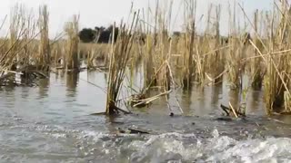 دنیای روستا