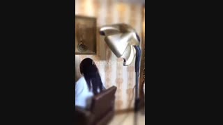 کلامازون اوزونیک