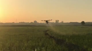 سمپاشی پیشرفته | 09190445812