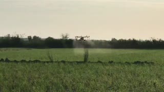 سمپاشی حشرات | 09106682600