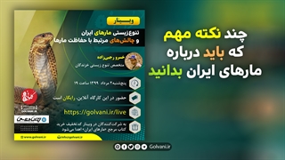 چند نکته مهم که باید درباره مارهای ایران بدانید