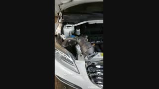 قیمت کاتالیزور بالای لیفان x60 catalystone 09128385256