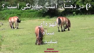 جالبترین روانشناسی شخصیت